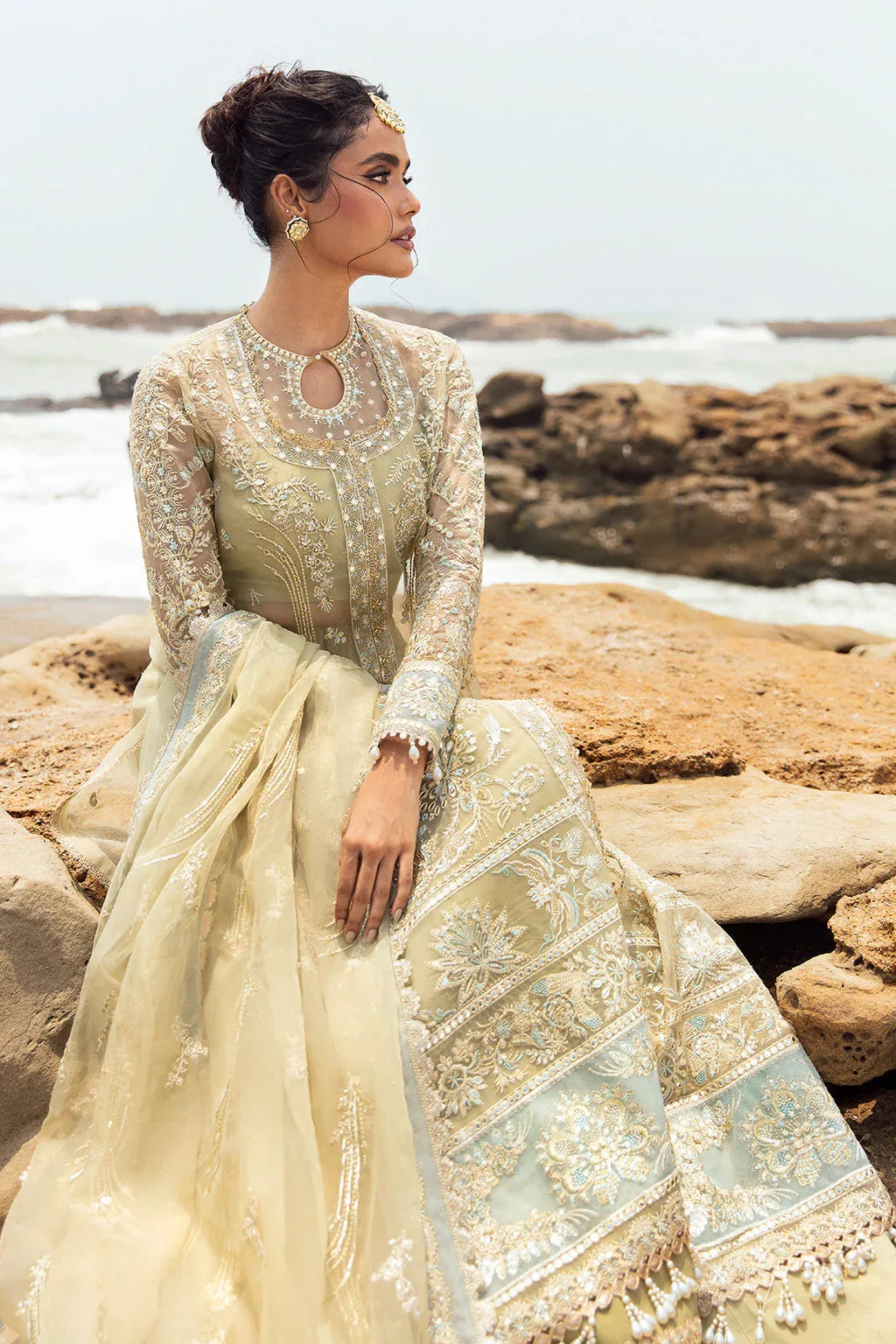 Afrozeh | Dastangoi Wedding Formal'24 | AWE-09 LEELA - Rang-e-Khaas