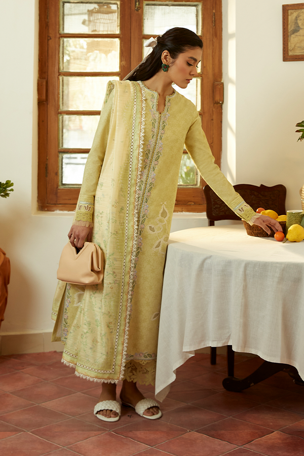 SUFFUSE | SUMMER '23 | FAIHA