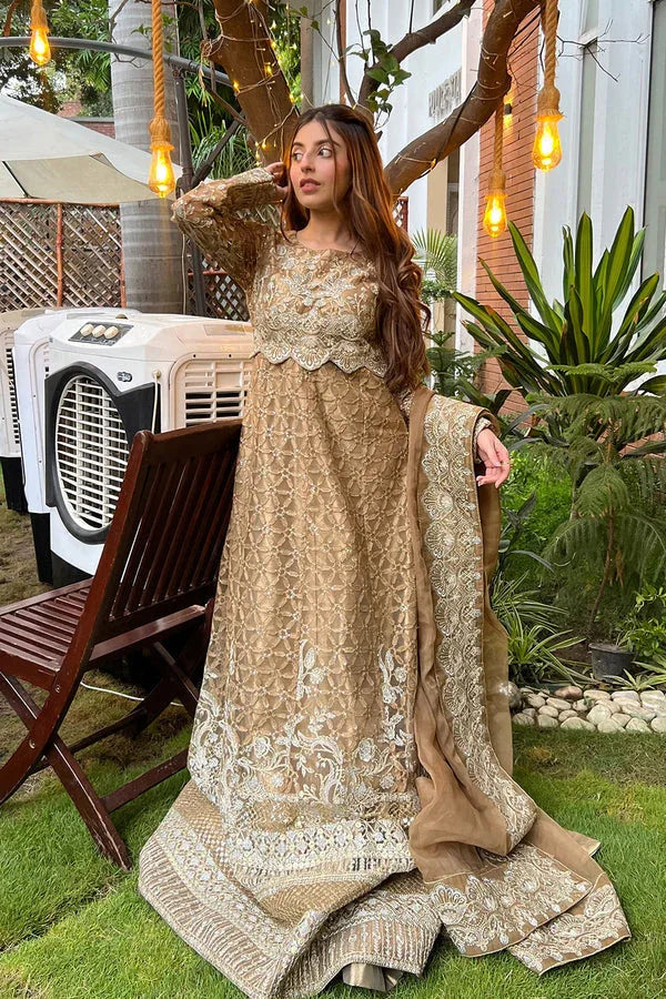 Maryum N Maria | Amani Formals | ÉLANORE - MW40106 - Rang-e-Khaas