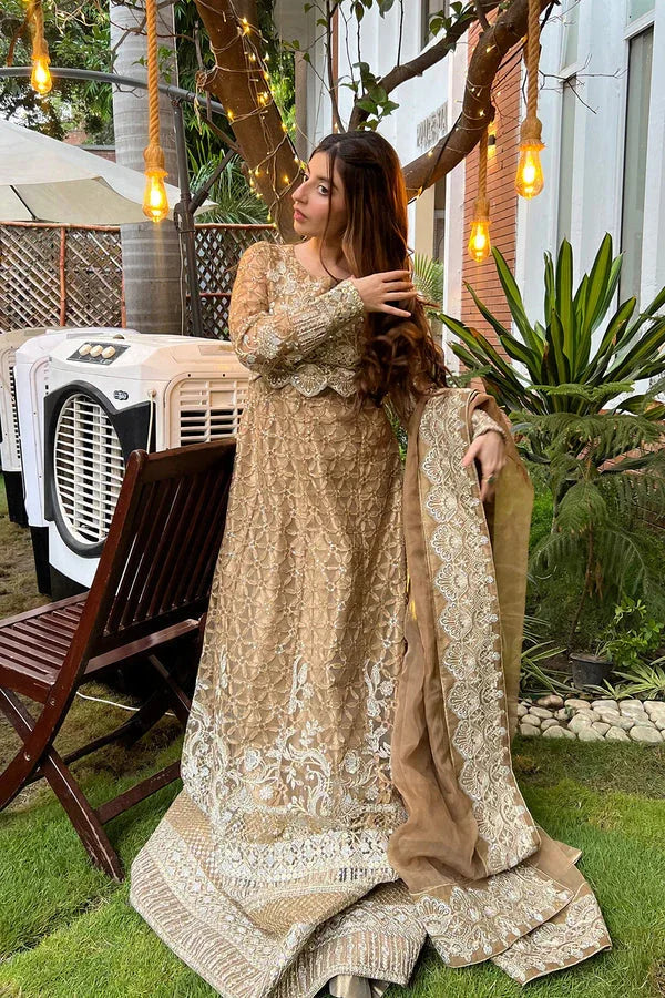 Maryum N Maria | Amani Formals | ÉLANORE - MW40106 - Rang-e-Khaas