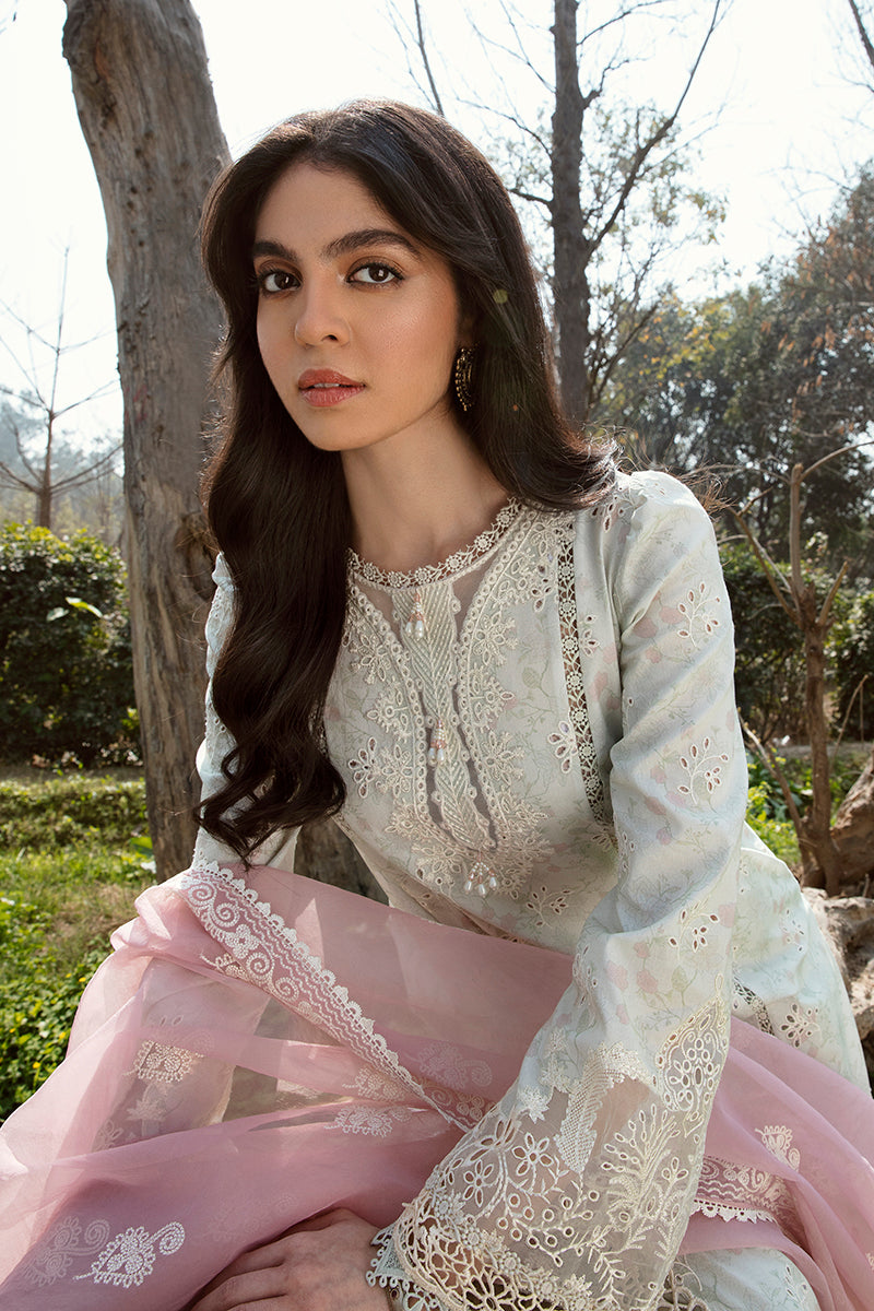 QALAMKAR QLINE-AK-12 GIZA-LAWN COLLECTION'23