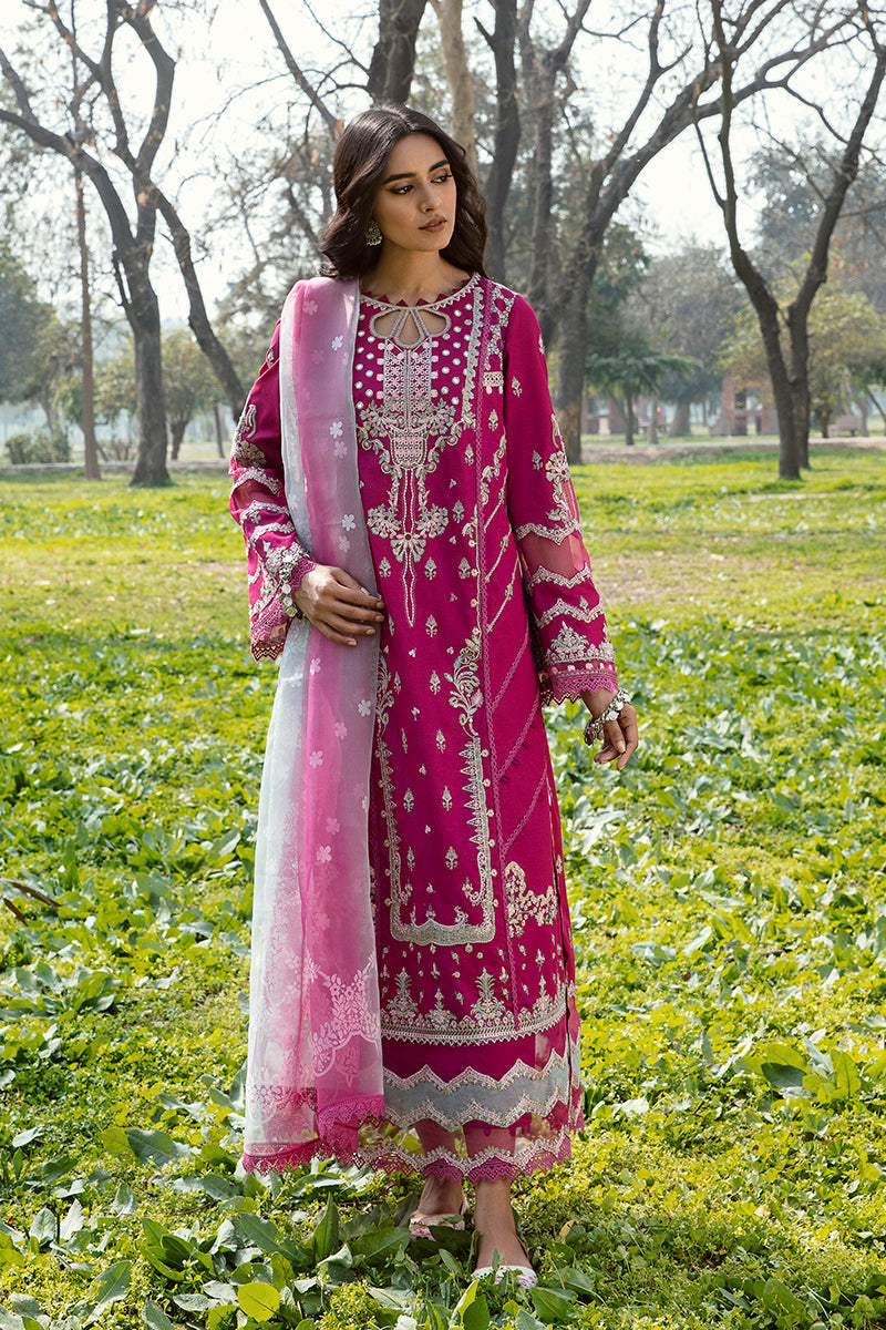 QALAMKAR QLINE-AK-13 LARISA-LAWN COLLECTION'23