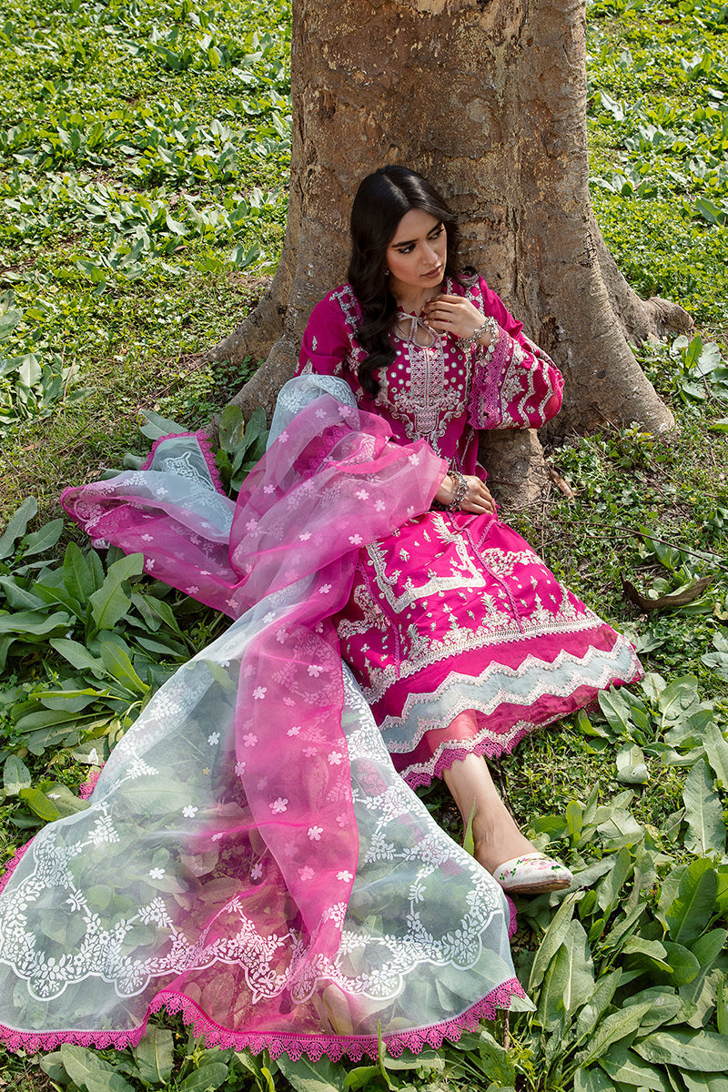 QALAMKAR QLINE-AK-13 LARISA-LAWN COLLECTION'23
