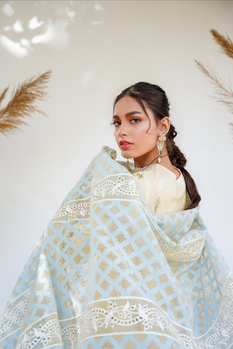 QALAMKAR QLINEKARI-RT-12 RYAN-LAWN COLLECTION'23