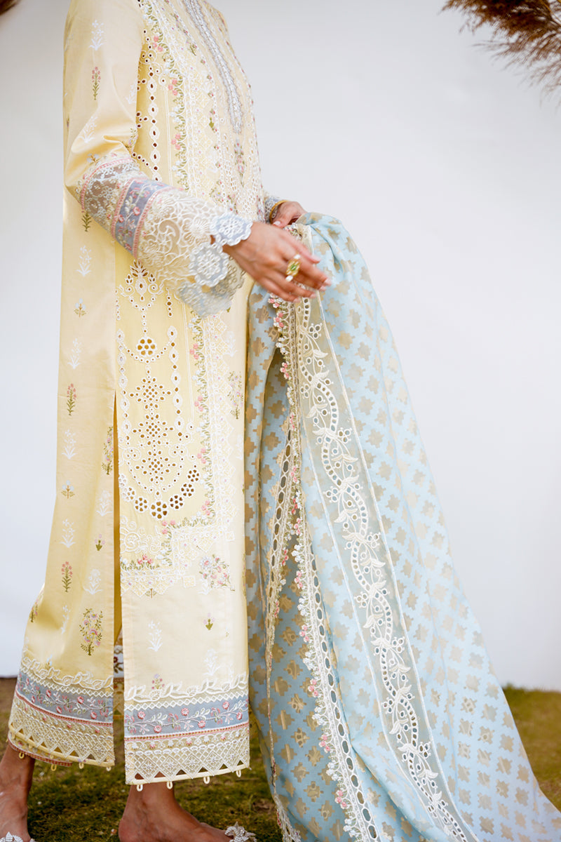 QALAMKAR QLINEKARI-RT-12 RYAN-LAWN COLLECTION'23