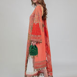 Hussain Rehar-Begonia-Roshan Collection'23