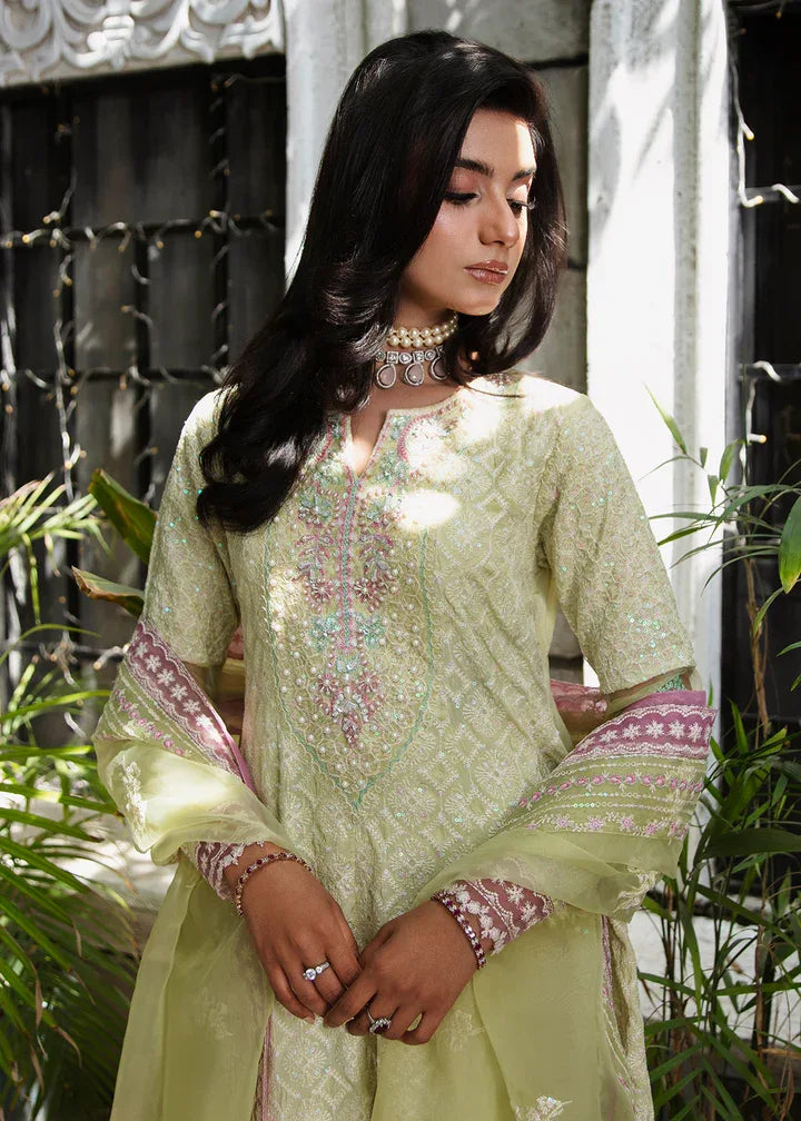 Maria Osama Khan | Rang e Noor Eid Edit | Nargis - Rang-e-Khaas
