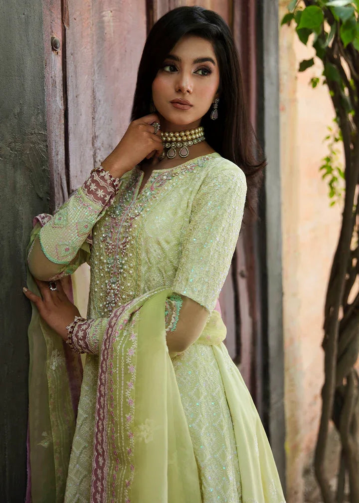 Maria Osama Khan | Rang e Noor Eid Edit | Nargis - Rang-e-Khaas