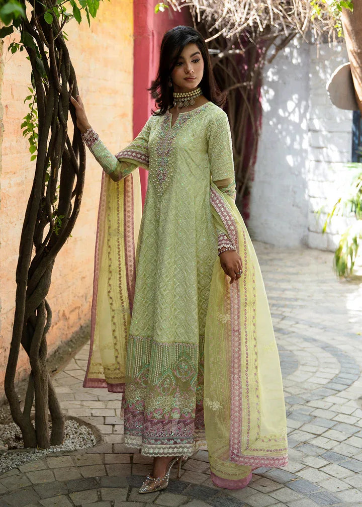 Maria Osama Khan | Rang e Noor Eid Edit | Nargis - Rang-e-Khaas