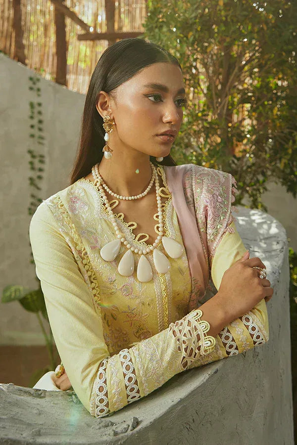 Suffuse | Casual Pret Eid 24 | Amriti - Rang-e-Khaas