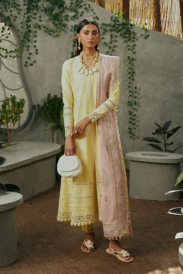 Suffuse | Casual Pret Eid 24 | Amriti - Rang-e-Khaas