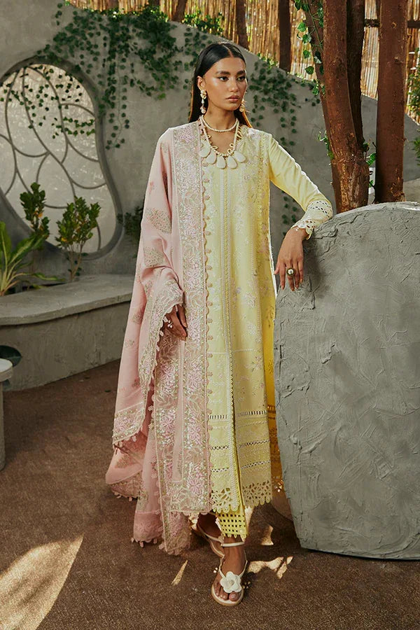 Suffuse | Casual Pret Eid 24 | Amriti - Rang-e-Khaas