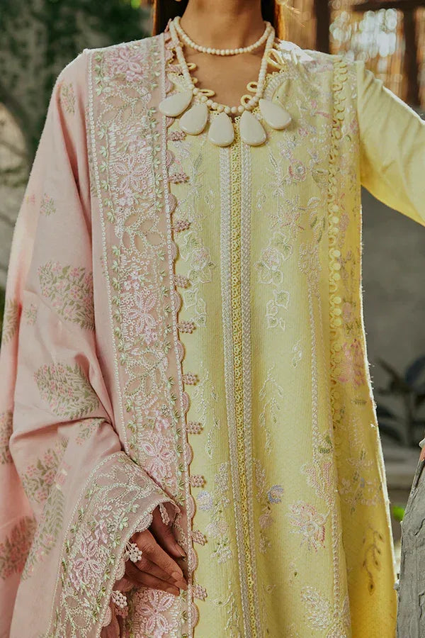Suffuse | Casual Pret Eid 24 | Amriti - Rang-e-Khaas
