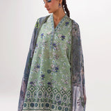 Image | Spring Basics 25 | IMPRSS-213973-12552