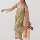 Image | Spring Basics 25 | IMPRSS-213975-12542
