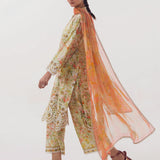 Image | Spring Basics 25 | IMPRSS-213975-12542