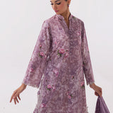 Image | Spring Basics 25 | IMPRSS-214014-12489