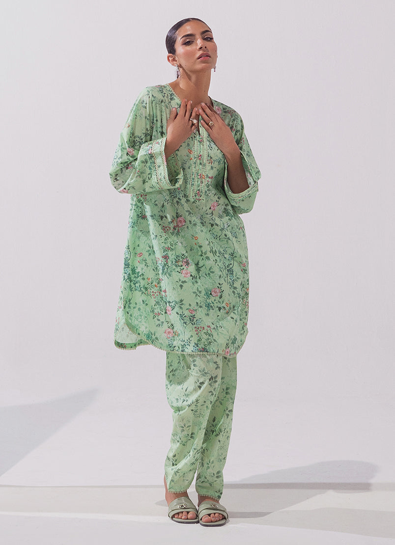 Image | Spring Basics 25 | IMPRSS-213915-11893 - Rang-e-Khaas