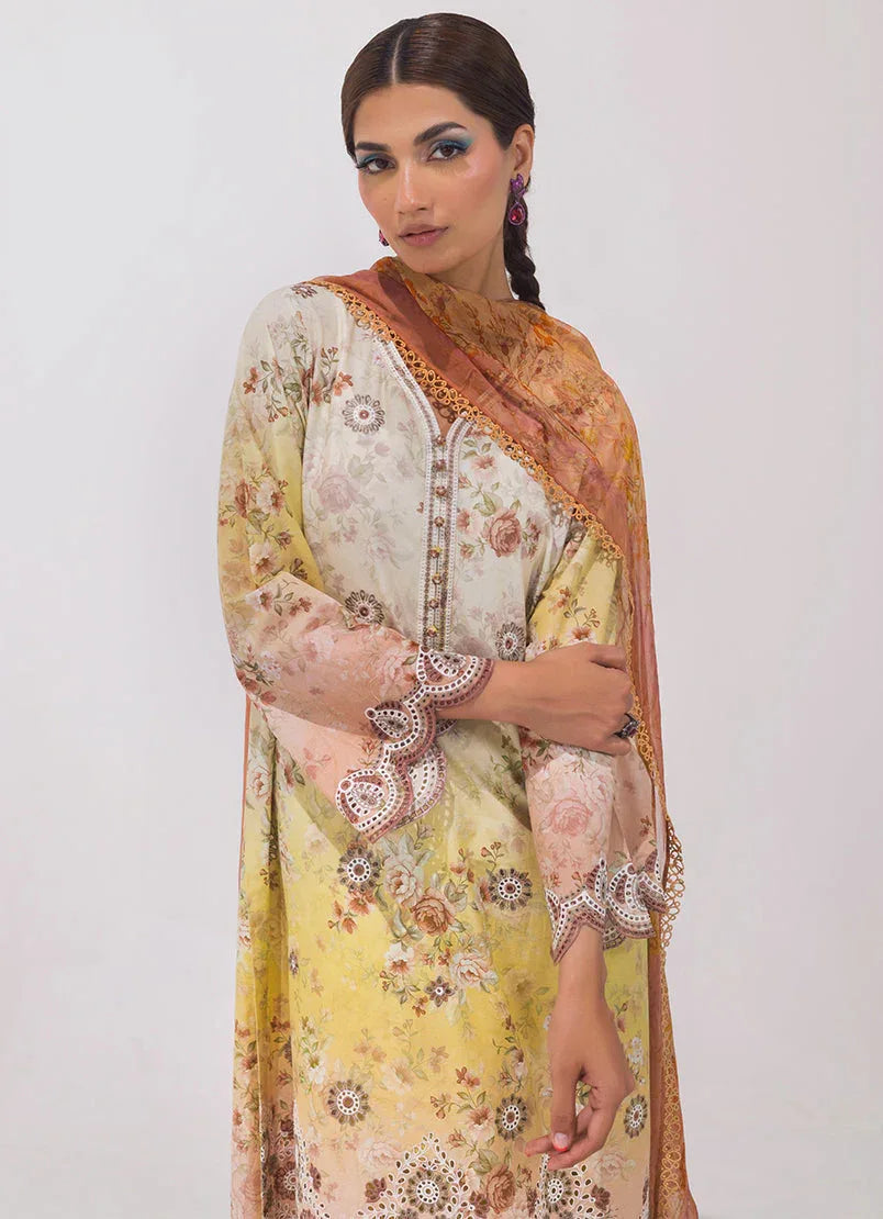 Image | Spring Basics 25 | IMPRSS-213971-12540 - Rang-e-Khaas