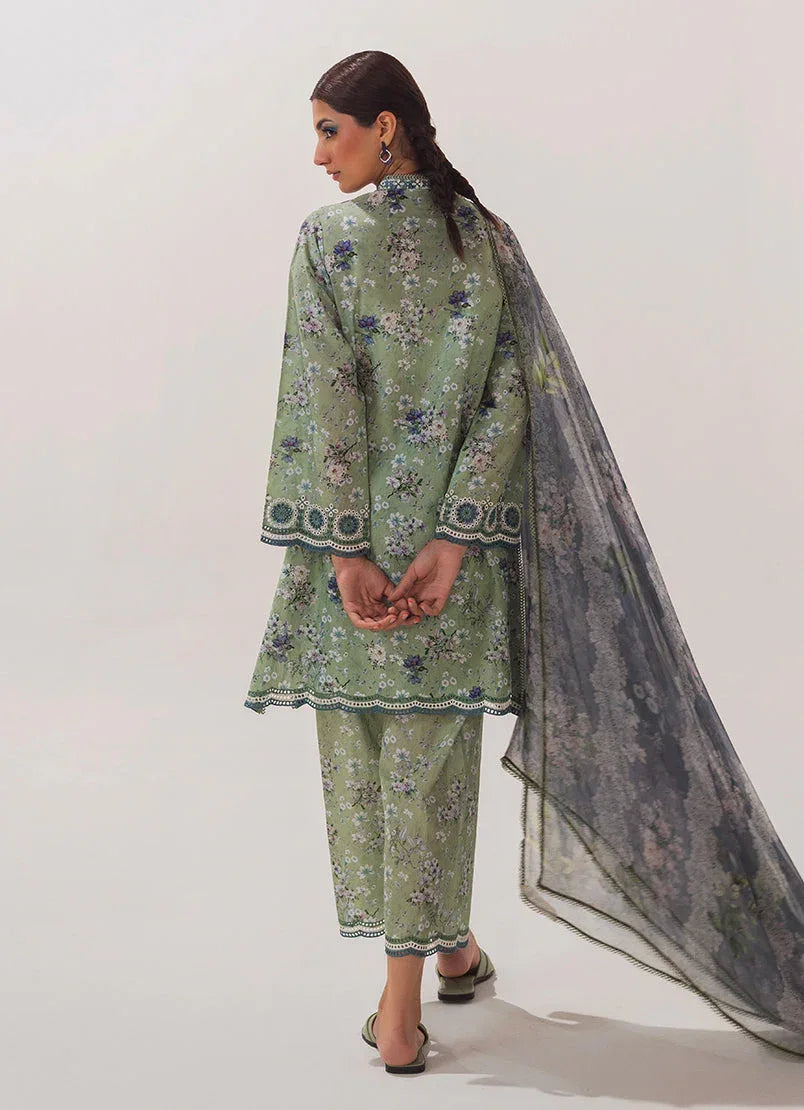 Image | Spring Basics 25 | IMPRSS-213973-12552 - Rang-e-Khaas