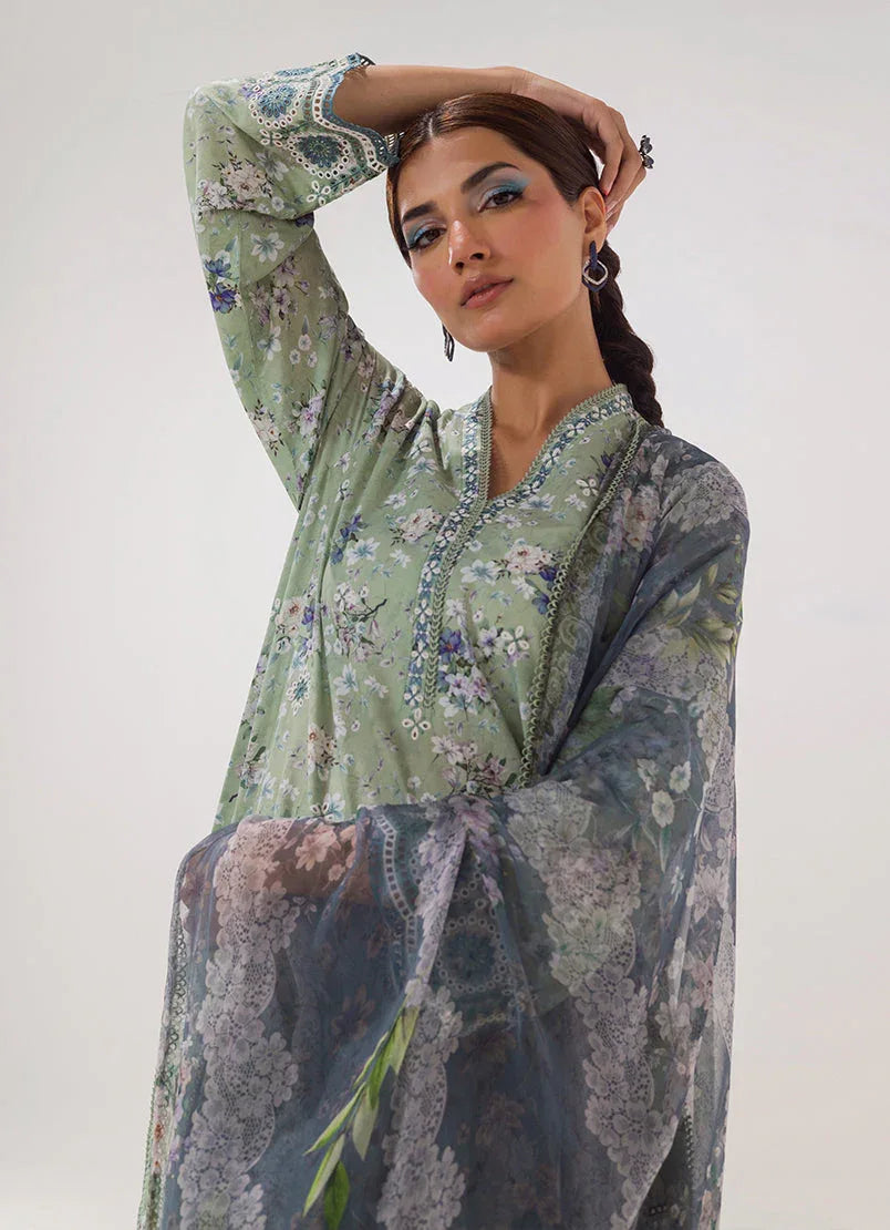 Image | Spring Basics 25 | IMPRSS-213973-12552 - Rang-e-Khaas
