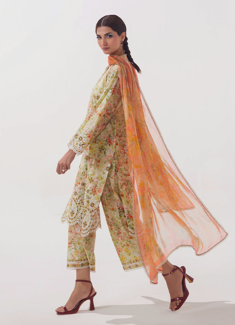 Image | Spring Basics 25 | IMPRSS-213975-12542 - Rang-e-Khaas