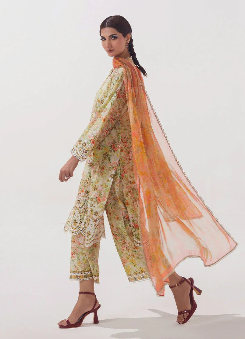 Image | Spring Basics 25 | IMPRSS-213975-12542 - Rang-e-Khaas
