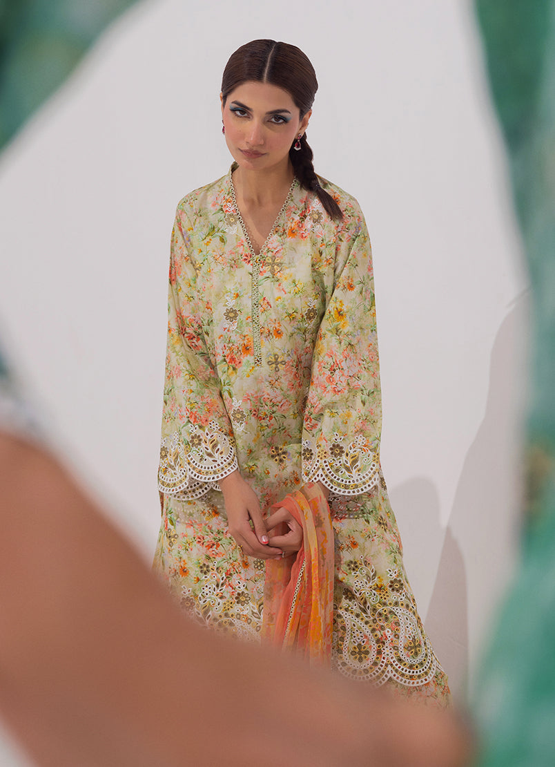 Image | Spring Basics 25 | IMPRSS-213975-12542 - Rang-e-Khaas
