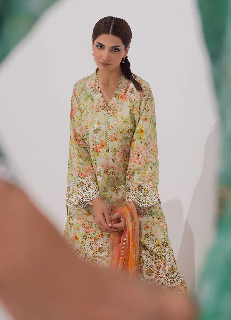 Image | Spring Basics 25 | IMPRSS-213975-12542 - Rang-e-Khaas