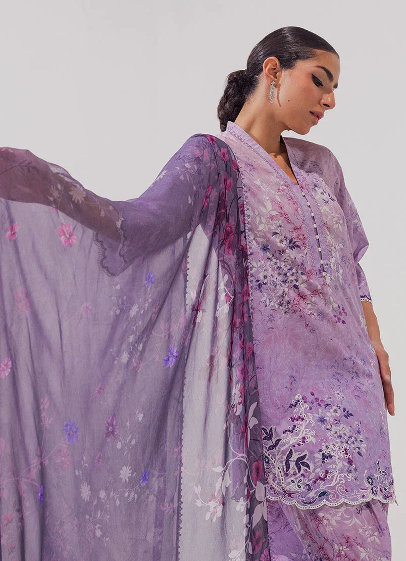 Image | Spring Basics 25 | IMPRSS-214017-12487 - Rang-e-Khaas