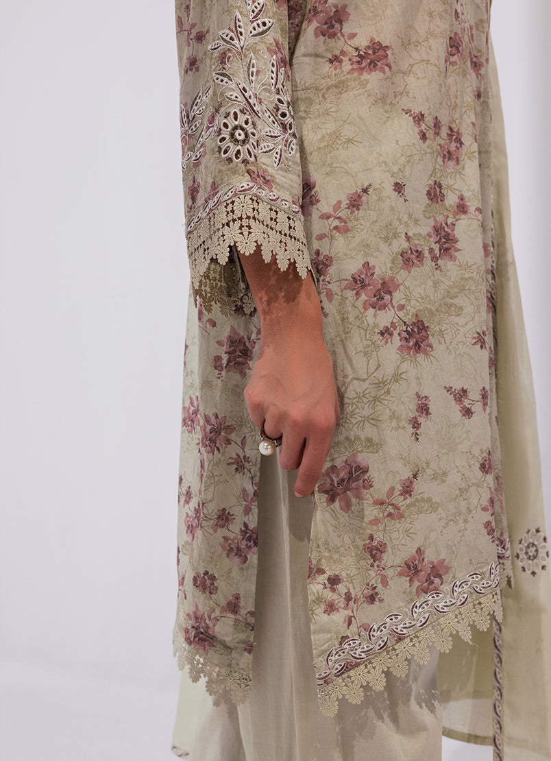 Image | Spring Basics 25 | IMPRSS-214018-12494 - Rang-e-Khaas