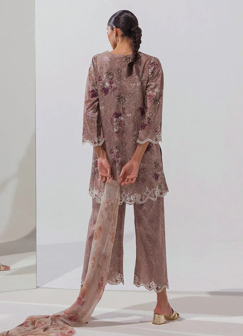 Image | Spring Basics 25 | IMPRSS-214019-12493 - Rang-e-Khaas