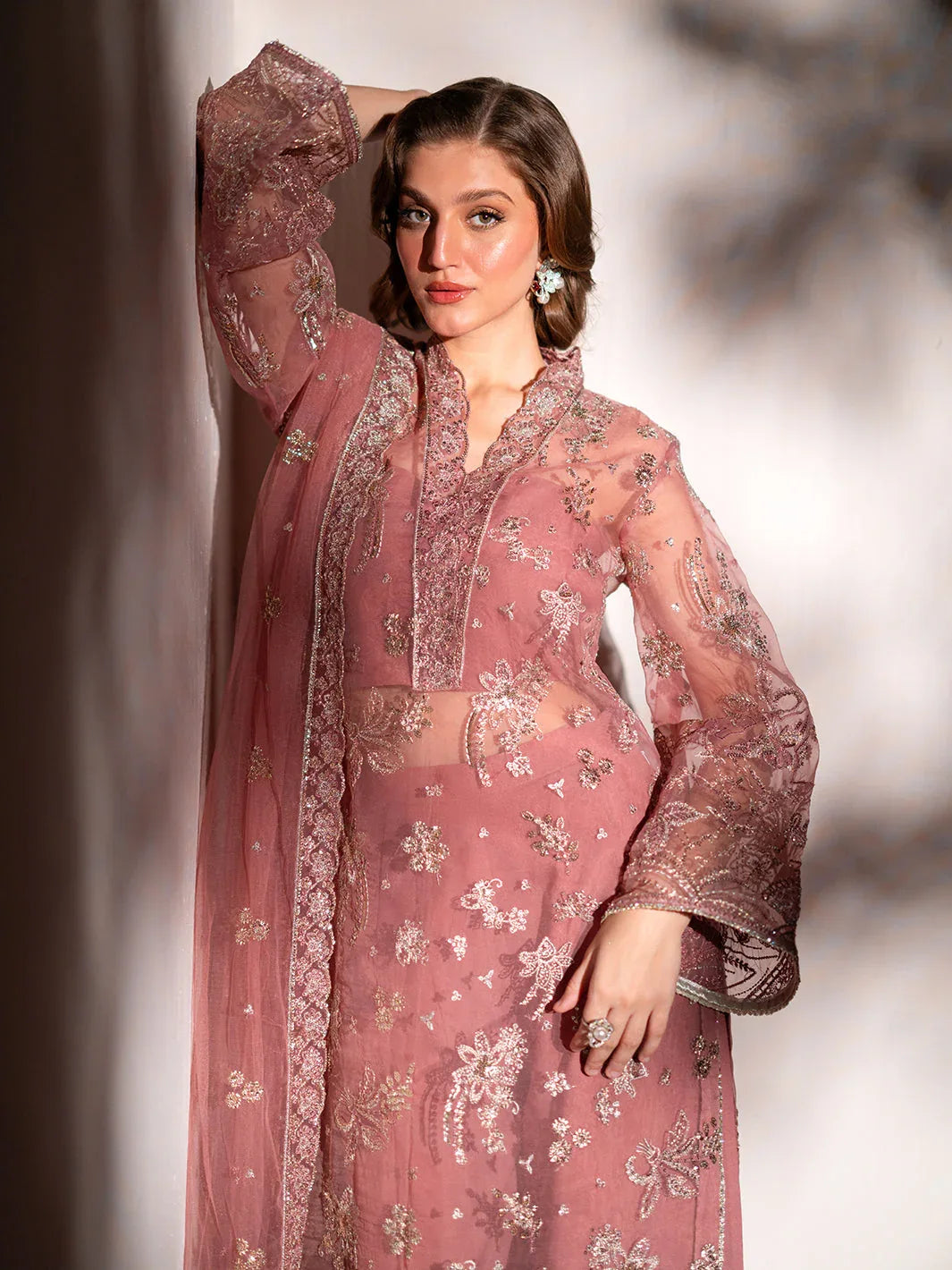 Izel | Stardust Luxury Collection | SLC-010-Raya - Rang-e-Khaas