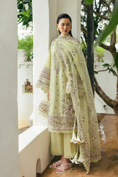 Saira Rizwan | Sajri Festive | ELAN SREP01-25 - Rang-e-Khaas