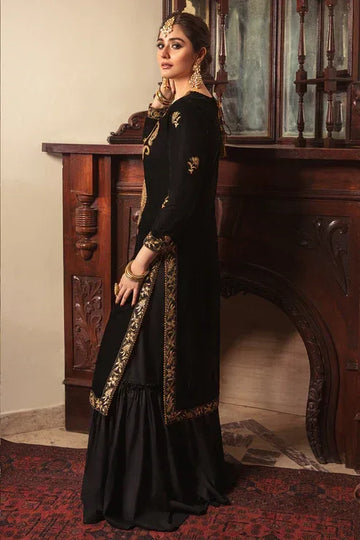 Declare | Velvet Collection 24 |  L0290 - Rang-e-Khaas