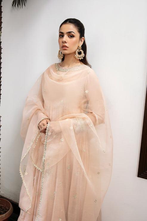Declare | Le Fleur Luxury Pret | Cotton Net Suit L1151 - Rang-e-Khaas
