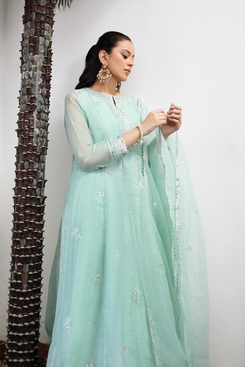 Declare | Le Fleur Luxury Pret | Cotton Net Suit L1152 - Rang-e-Khaas