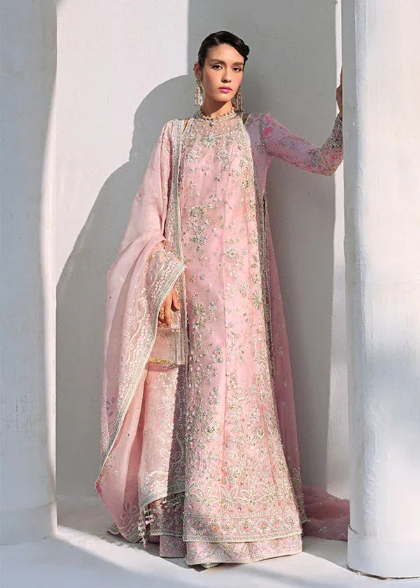 Suffuse | Freeshia Formal | FALEK - Rang-e-Khaas