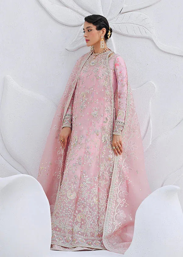 Suffuse | Freeshia Formal | FALEK - Rang-e-Khaas