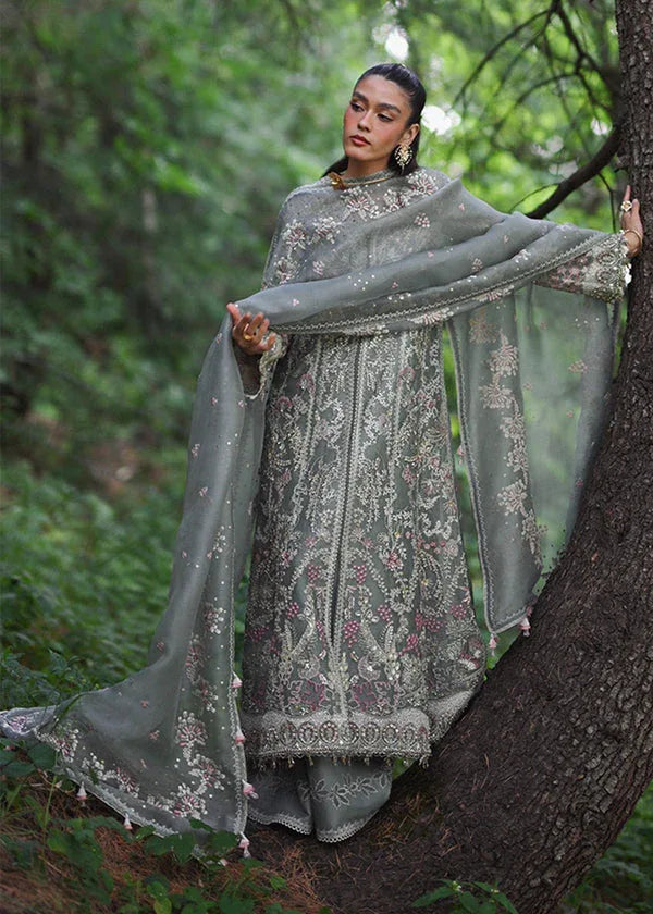 Suffuse | Freeshia Formal | ABSHAR - Rang-e-Khaas