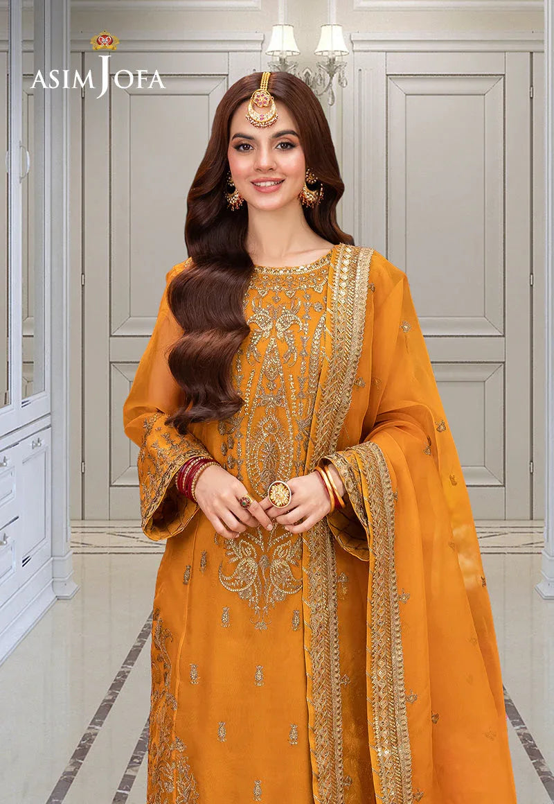 Asim Jofa | festive luxe | AJEM-12 - Rang-e-Khaas