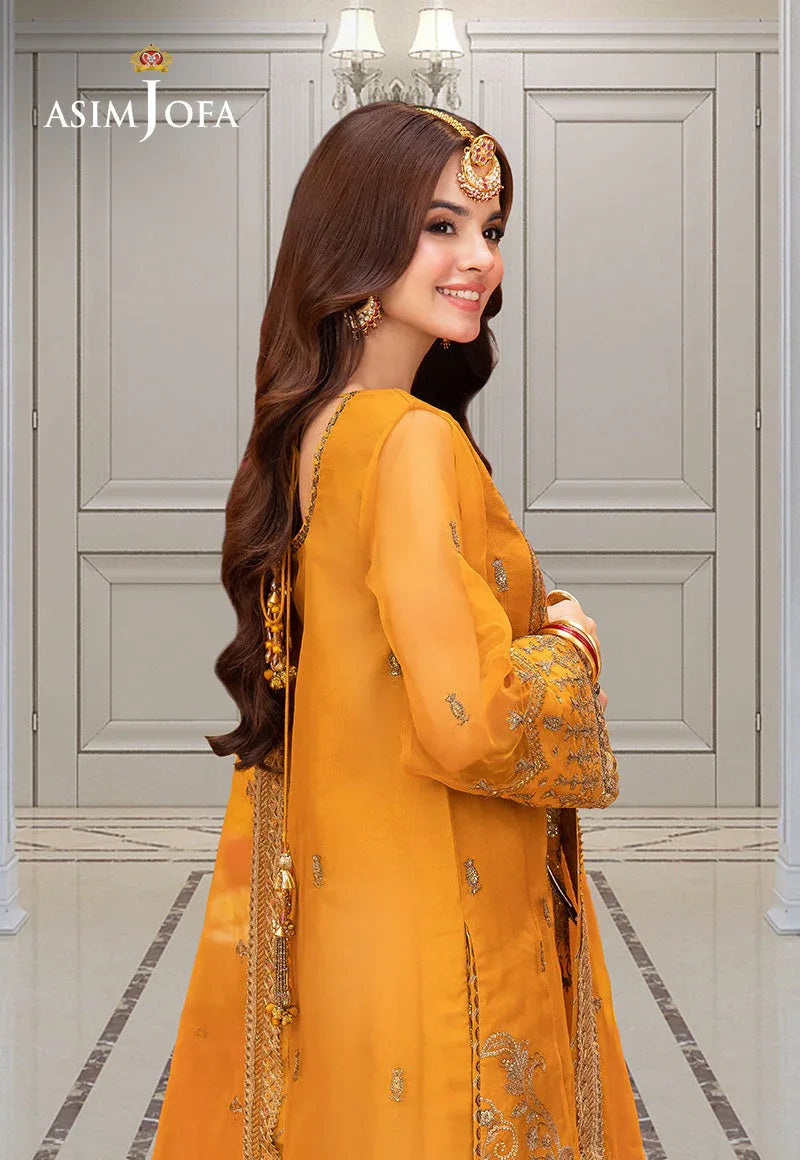 Asim Jofa | festive luxe | AJEM-12 - Rang-e-Khaas