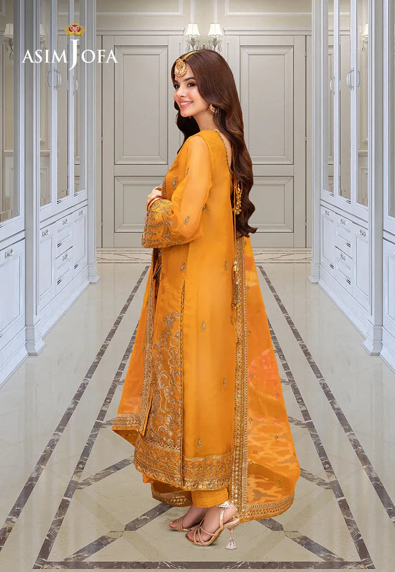 Asim Jofa | festive luxe | AJEM-12 - Rang-e-Khaas