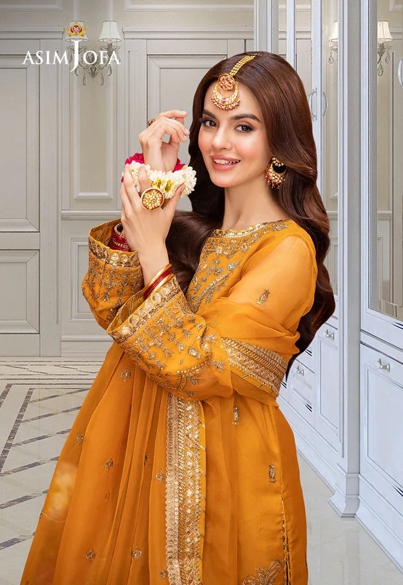 Asim Jofa | festive luxe | AJEM-12 - Rang-e-Khaas