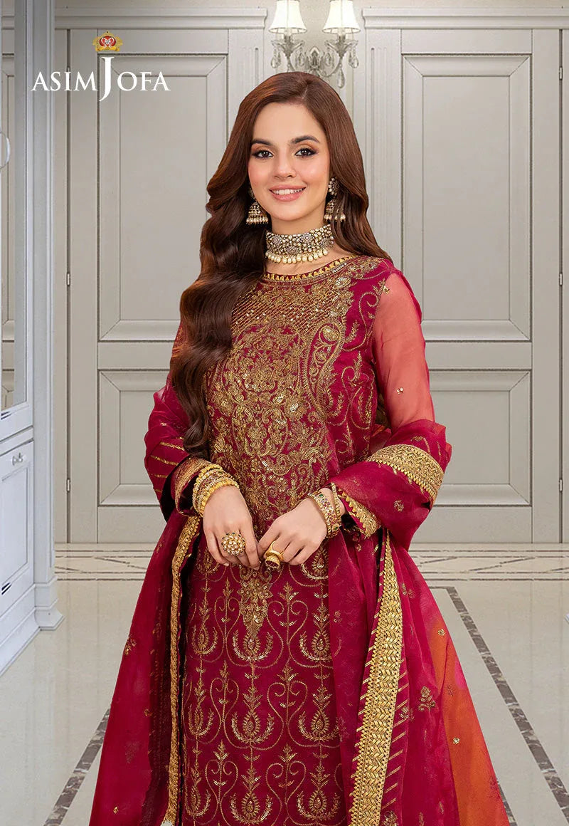 Asim Jofa | festive luxe | AJEM-23 - Rang-e-Khaas