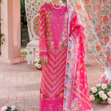 Rajbari | Exclusive Printkari 2024 | 5-B