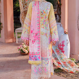Rajbari | Exclusive Printkari 2024 | 3-B