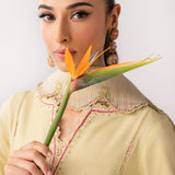 Qalamkar | Basic Pret 25 | KT-08 Afra