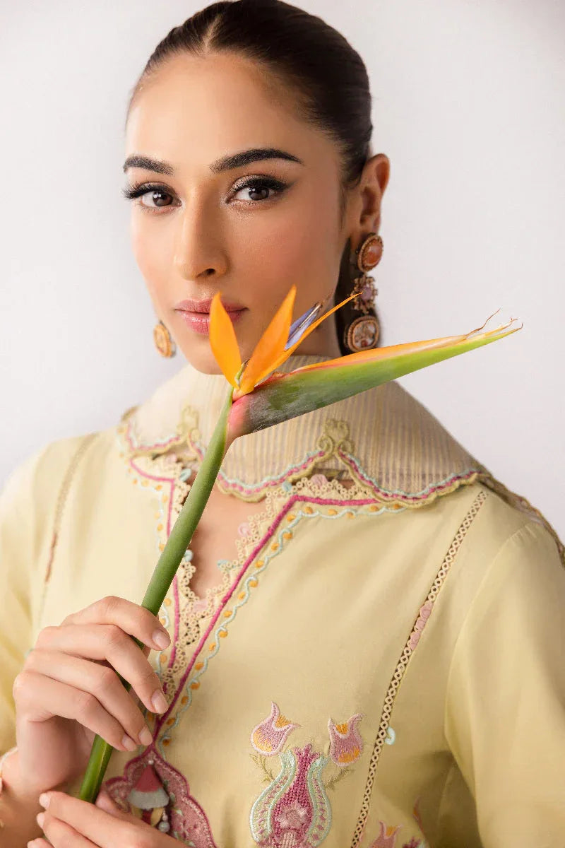 Qalamkar | Basic Pret 25 | KT-08 Afra - Rang-e-Khaas