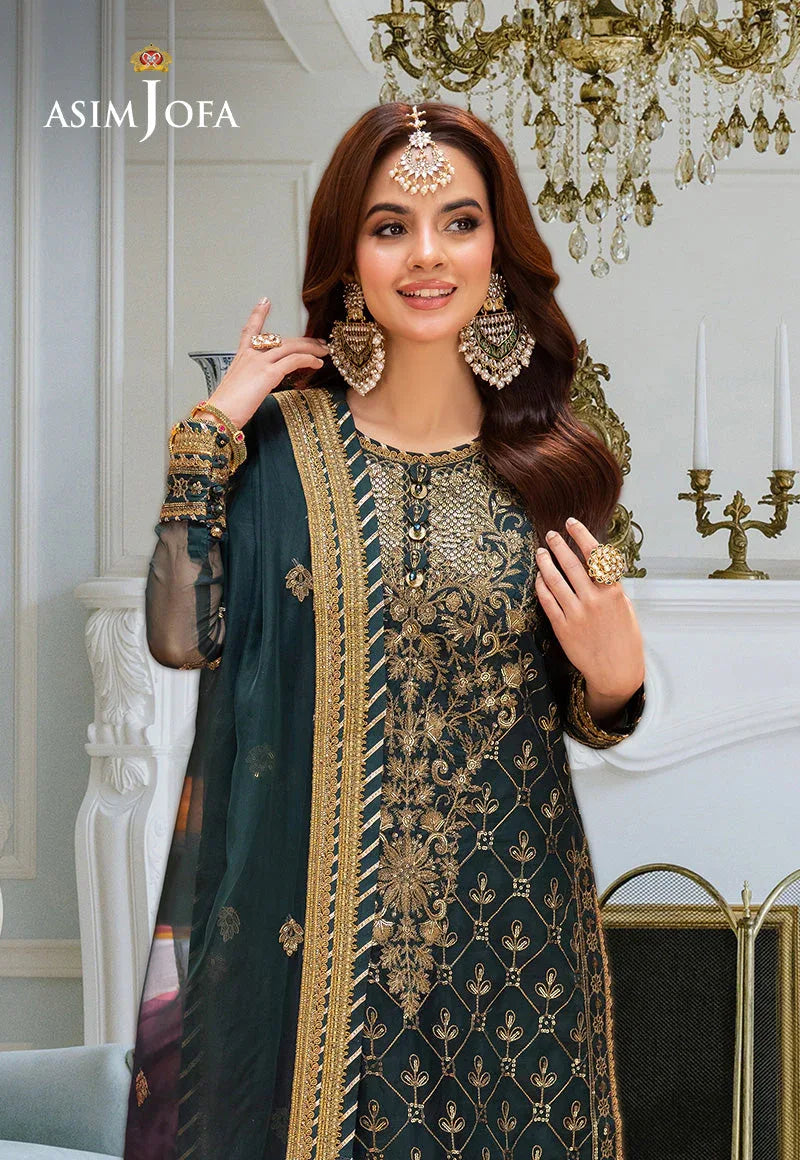 Asim Jofa | festive luxe | AJEM-25 - Rang-e-Khaas